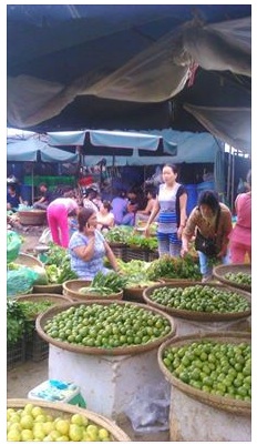 Market - Fruit